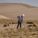Illustration for article titled Humans Have Transformed 70 Percent of Land on Earth. We Have a Choice for What We Do Next